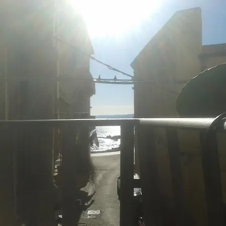 Amareortigia